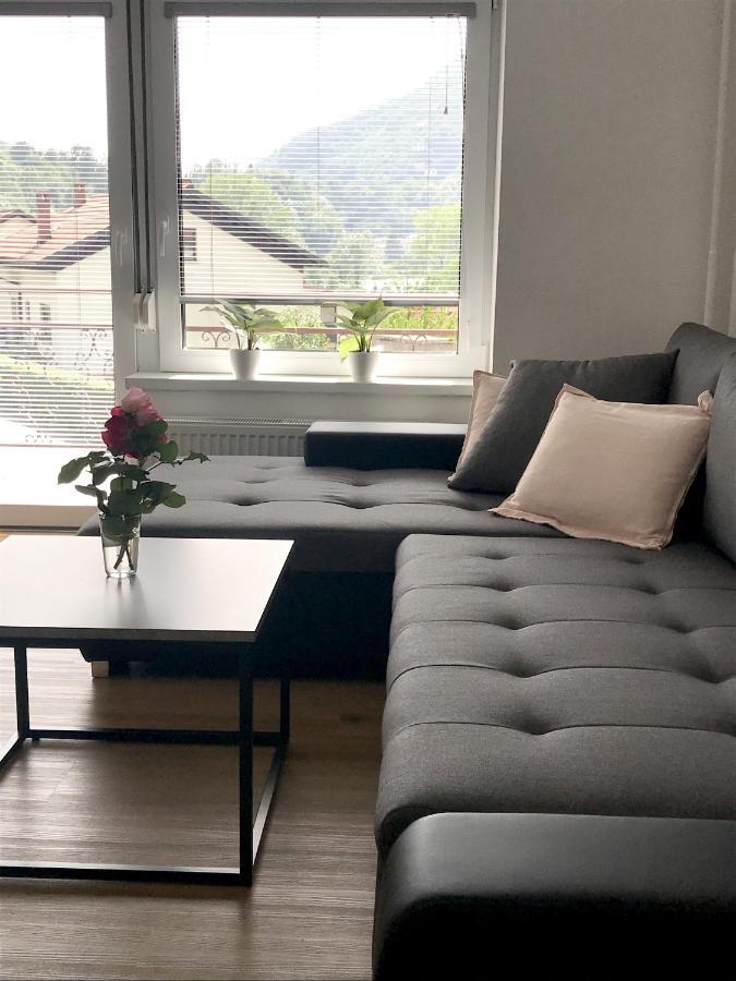 Apartment Loyd, Tolmin - Most na Soči Eksteriør billede