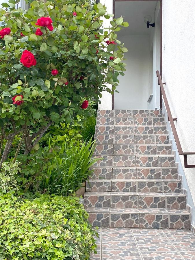 Apartment Loyd, Tolmin - Most na Soči Eksteriør billede